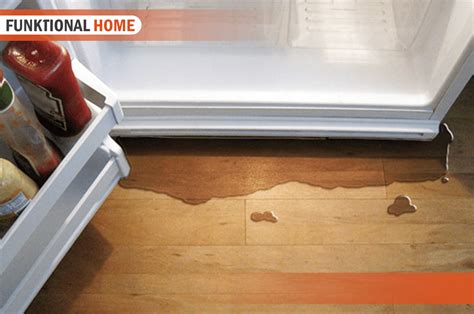 leaking fridge|How to fix a fridge that’s leaking water